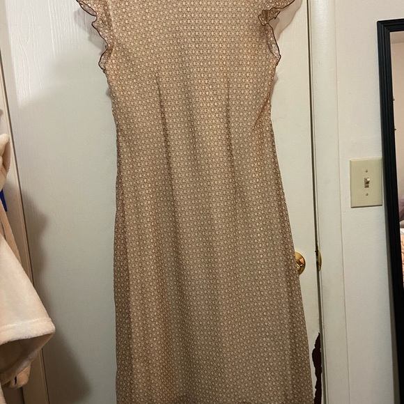 G.C Sz 16 Believe… light brown sheer V-neck dress w dark lining underneath. - Picture 6 of 8